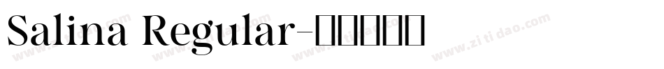 Salina Regular字体转换